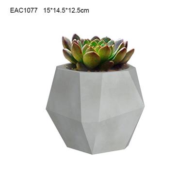 China Cactus Cement Flower Pots / Heat - Resistant Concrete Pots For Plants for sale