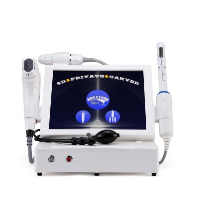 China Professional Weight Loss RF Factory Price Thermal Wrinkle Removal Vaginal Tightening 3 In 1 Multifunctionfacial Machine for sale