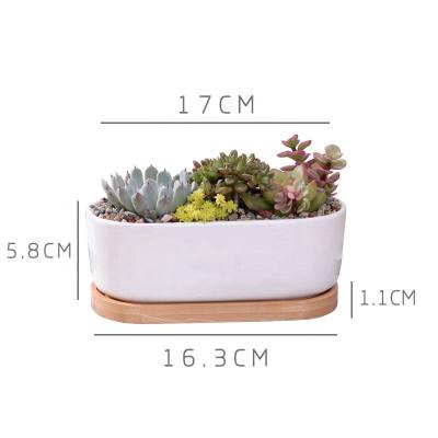 China Mini Rectangular Round White Ceramic Flower Pot Eco - Friendly for sale