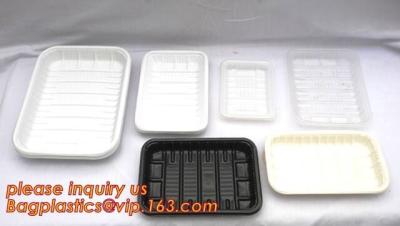 China el servicio de mesa del almidón de maíz fija la bandeja biodegradable de la torta, pulpa moldeada blanca Tray Paper Food Tra rectangular de la fibra del almidón de maíz en venta