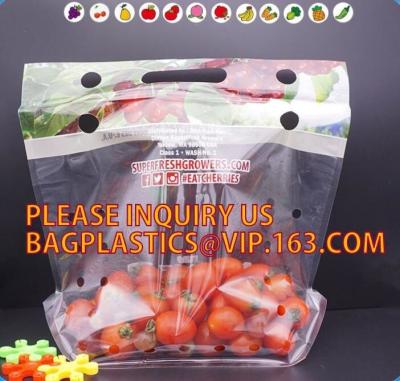 China cherry tomato bags / laminated dry fruit packaging bag, Fruit Vegetable Packaging Bag, fruit protection bag with vent ho for sale