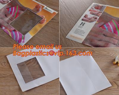 China Bolso plástico modificado para requisitos particulares de la carpeta de archivos de la cremallera, bolso de los ficheros de la carpeta del papel del cierre de cremallera A4 del resbalador del PVC, carpeta plástica del documento en venta