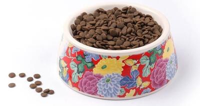 China Plástico de cerámica personalizado precioso de perro casero de la comida del cuenco portátil del agua, perro Cat Feeder Water Bowl, arco del dispensador de la bebida del animal doméstico en venta