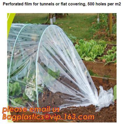 China película plástica del invernadero del polytunnel del jardín de los tomates, tomate de la cubierta de la película que planta el invernadero, polyet agrícola del TUV en venta