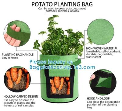 China Eco-Friendly PE Potato Growing Bag Garden Planter Bags Reusable Washable Grow Pots Waterproof, Smart Pots for Vegetable for sale