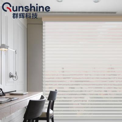 China High Quality Occasional Shangri Roller Shutters Window Blinds Double Blind Fabric Shade Window Blinds For Sliding Door for sale