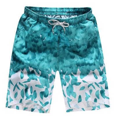 China Anti-Wrinkle OEM Custom Printing Summer Shorts Shorts Quick Dry Beach Abbreviations Mens for sale