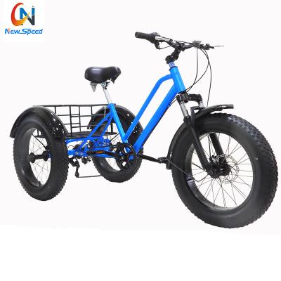 China Newspeed steel cheap fat tire electric tricycle 500W/1000W snow tricycle 26inch 3 wheel electric bike for sale