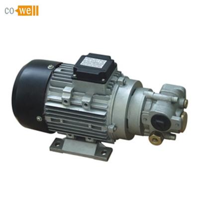 China Oil Cowell Gear Electric Oil Pump For Engine Oil for sale