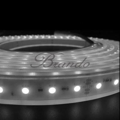 China BRANDO Application BRANDO SMD5050 Hard Safety LED Tunnel Flexible Strip Light with Male and Female Connectors for sale