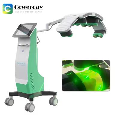 China Máquina de queima de gordura 532nm 10D, Máquina de remoção de gordura laser de mão à venda