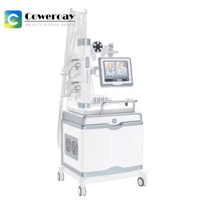 Chine Machine de perte de poids par cryolipolyse multifonctionnelle 360 grasses par cavitation par congélation RF à vendre