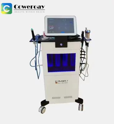 China LDM Triple Frequency HIFU Ultrasone Gezichtslift Machine Voor Rimpel Verwijderen Te koop