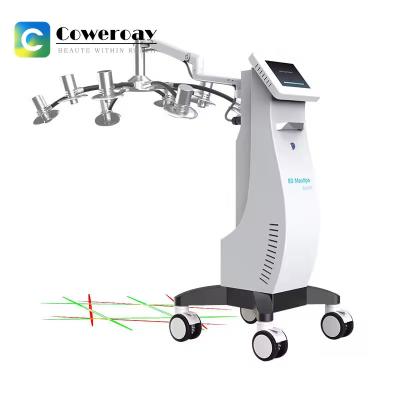 Κίνα Κατασκευαστής 532nm 635nm Laser Green Light 8D Laser Slimming Equipment προς πώληση