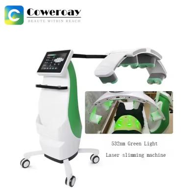 China 532nm/635nm Green Light 10D Fat Removal Maxlipo Master Machine Pain Relief Machine for sale