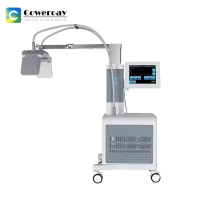 Cina Lumewave Master Microwave Vacuum Fat Dissolving Machine per il dimagrimento del corpo in vendita