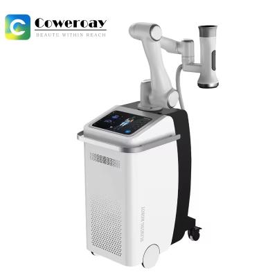 Chine 360 Cryolipolyse machine d'amincissement machine de stimulation Cryo+EMS pour la réduction de graisse à vendre