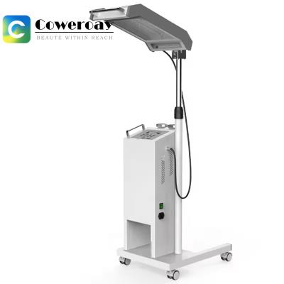 China Pdt Led Light Therapy Huidverzuivering Verjonging Huidverzorging Schoonheidsmachine Te koop