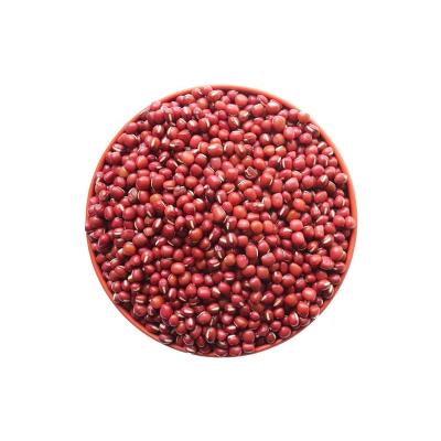 China Widely used for Professional Herbal Jelly Production Cereal Pearls Oval Rice Ball for sale