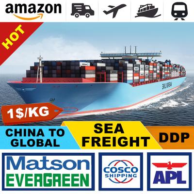 China Free Storage For 30 Days Professional DDP Freight Forwarder Sea Charge Rates From China To US FBA BELGIUM GERMANY FRANCE Amazon for sale