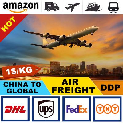 China Free Storage for 30 Days Logistics Service Company from China to USA FBA UK Canada Amazon Amazon By Sea Freight Lowest Cost Air Freight for sale