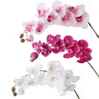 China O-009 Phalaenopsis Real Touch Latex Decorative Butterfly Orchid Flower Large Real Touch Phalaenopsis New Style 9 Heads Wholesale Artificial Latex for sale