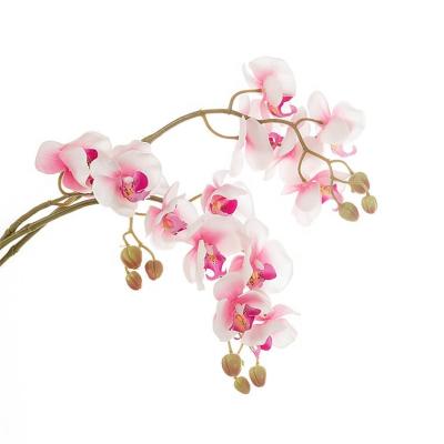 China Real Touch Orchid Butterfly Orchid Flower O-010 Real Touch Butterfly Orchid Flower Decorative Artificial Phalaenopsis 5 Head Latex for sale