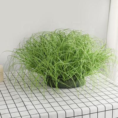 China Pampas Plant Reed Grass A-002 Home Decoration Bonsai Plastic Artificial Single Green Onion Grass Artificial Type Reed Grass for sale