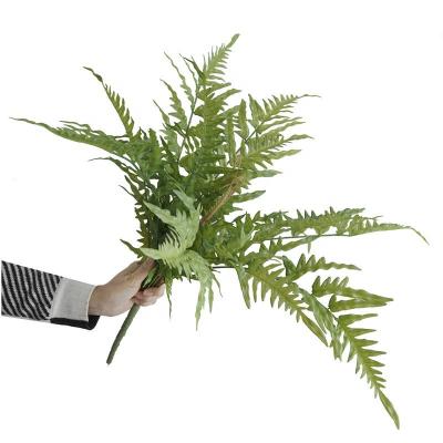 China Simulation Fern Leaf Indoor Plastic Green Plant L-019 Forest Wedding Artificial Wall Decoration Simulation for sale