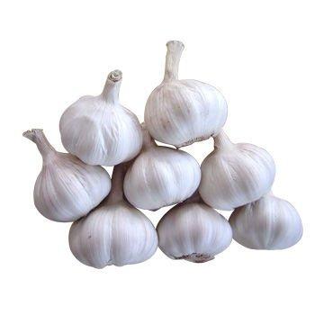 China Fresh garlic price per ton for sale