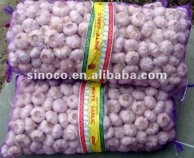 China Mesh Net Bags Fresh Garlic for sale