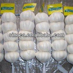 China Different types fresh garlic for sale