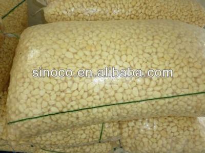 China fresh fresh peeled garlic for sale