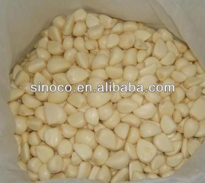 China Fresh organic peeled garlic for sale