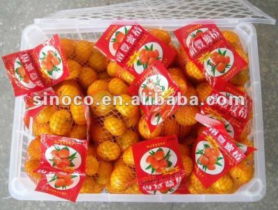 China Fresh baby mandarin in 10kg packaging for sale