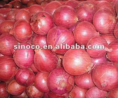 China China fresh fresh onion in 10kg mesh bag package.MOQ: 1X40FCL. for sale