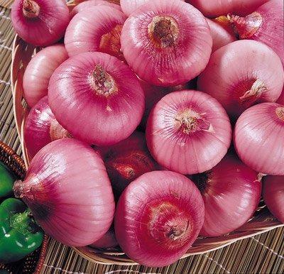 China Fresh fresh onions for sale the fresh vegetable for sale