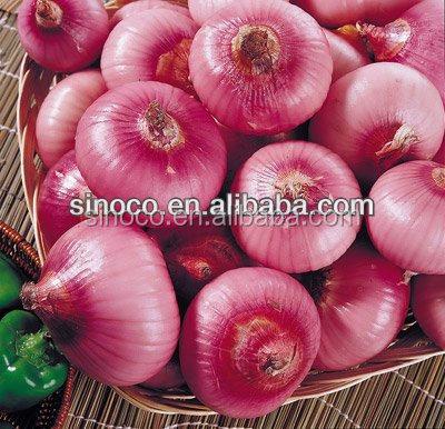 China Fresh Onion Price Ton Types Red Onions Lowest Price Fresh Red Onion for sale