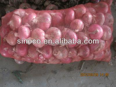 China Fresh red onions packing small size red onion for sale