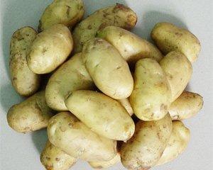 China Fresh potato for sale