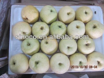 China Golden Fresh Chinese Pear, Pear Varieties for sale