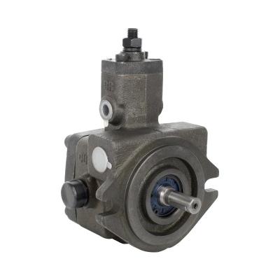 China VP-08/08 VP-12/12 VP-15/15 Vp-20/20 Vp-30/30 Vp-40/40 Low Pressure Vane Pump for sale