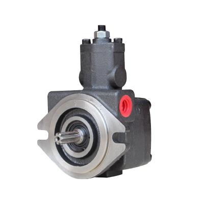 China Hydraulic Vane Pumps VP-DF-30/30 VP-DF-40/40 VP-DF-12/12 VP-DF-15/15 VP-DF-20/20 VPDF for sale