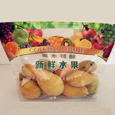 China Factory Wholesale Custom Resealable Safety Plastic Fruit Vegetable Zip Lock Food Packaging Bag for sale