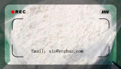 China White Healthy  Muscle Building Test Phenylpropionate CAS: 1255-49-8 Increase Muscle Growing Efficient and Safe Delivery for sale