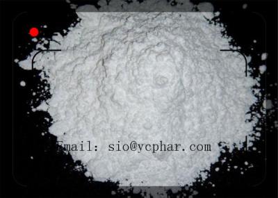 China White Powder Procaine HCL（Novocain / Novocaine） CAS: 51-05-8 Bodybuilding Efficient and Safe Delivery for sale