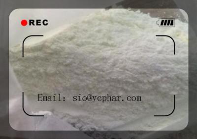 China White Powder Tetracaine CAS: 94-24-6 Bodybuilding Efficient and Safe Delivery for sale