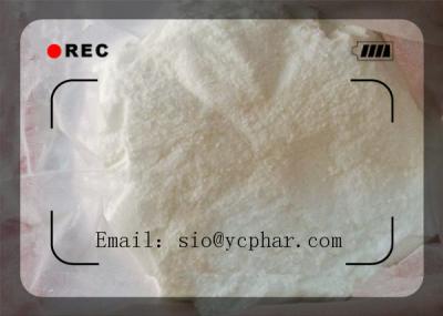 China Pregnenolone Raw powder CAS 145-13-1 Bodybuilding Fast and Safe Delivery for sale