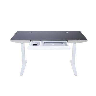 China New Design Adjustable Professional Ergonomic Home PC Computer Desk Smart Table (Height) With Wireless Charging Function for sale