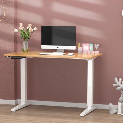 China Electric Adjustable Motors Ergonomic Adjustable Metal Legs Double Height (Height) Sit Standing Desk for sale